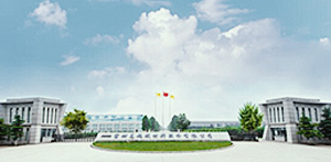 公司簡介